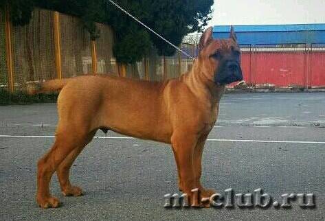 post-12493-0-55419600-1464215195_thumb.j