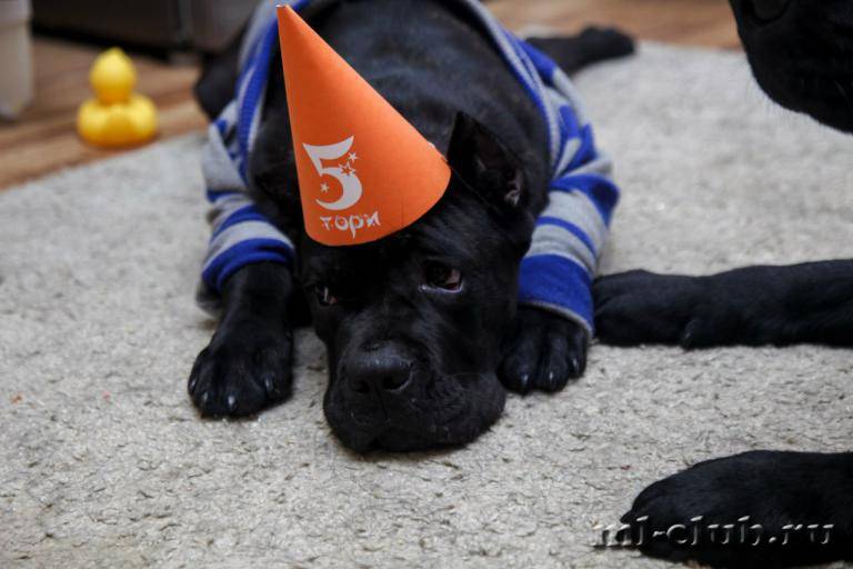 post-12493-0-56584700-1462558156_thumb.j