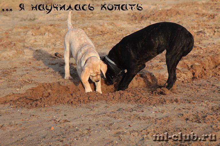 post-12493-0-56825000-1462558389_thumb.j