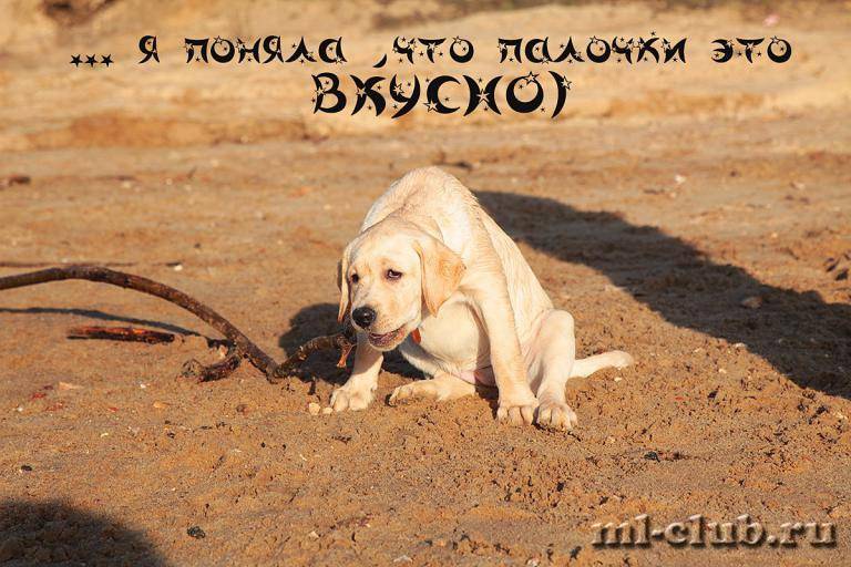 post-12493-0-67136200-1462558446_thumb.j