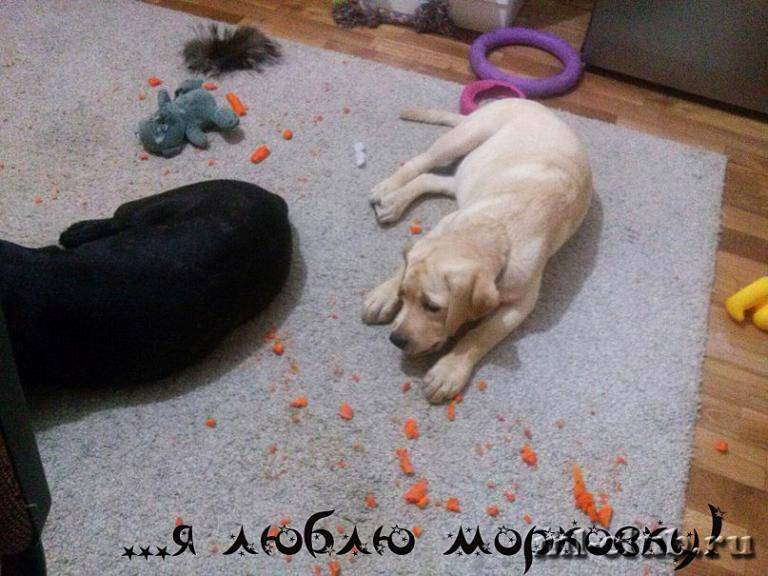 post-12493-0-68640400-1462558272_thumb.j