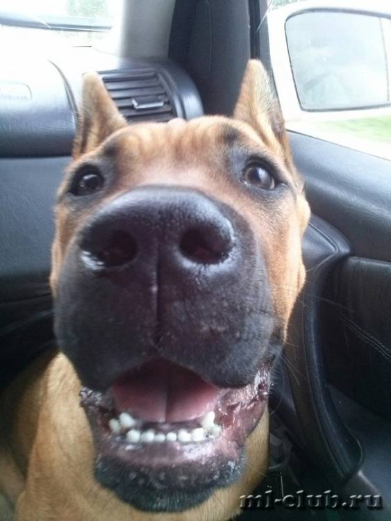 post-12493-0-70591100-1464215194_thumb.j