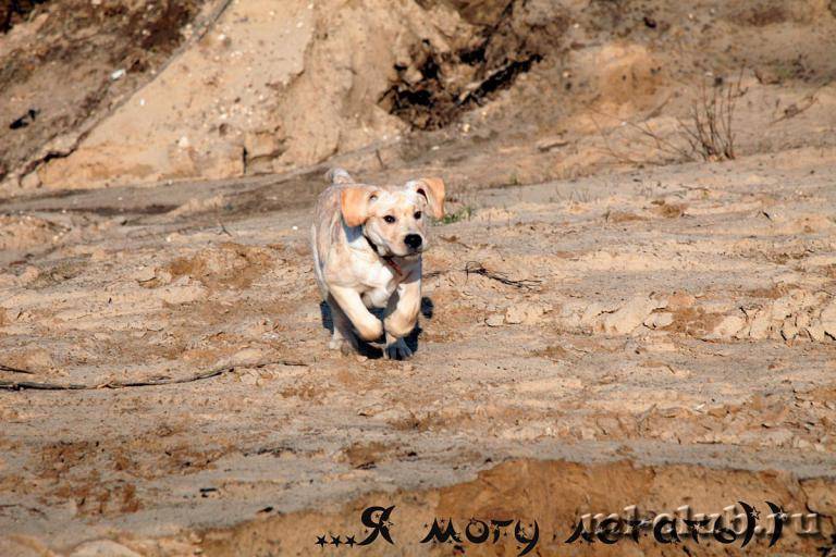 post-12493-0-71785200-1462558287_thumb.j