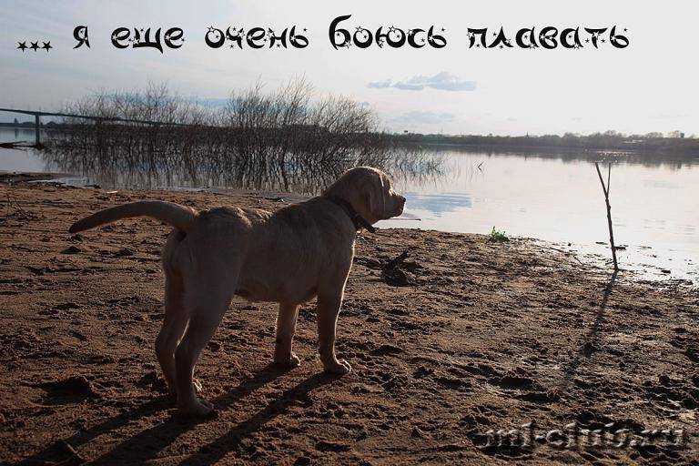 post-12493-0-78629300-1462558344_thumb.j