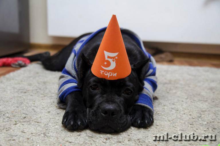 post-12493-0-79379300-1462558174_thumb.j