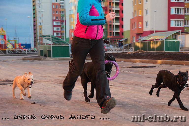 post-12493-0-82656600-1462558518_thumb.j