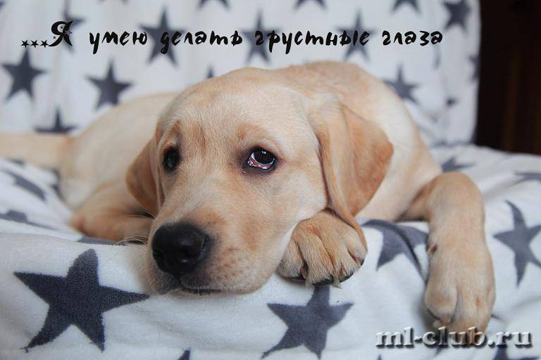 post-12493-0-86465200-1462558376_thumb.j