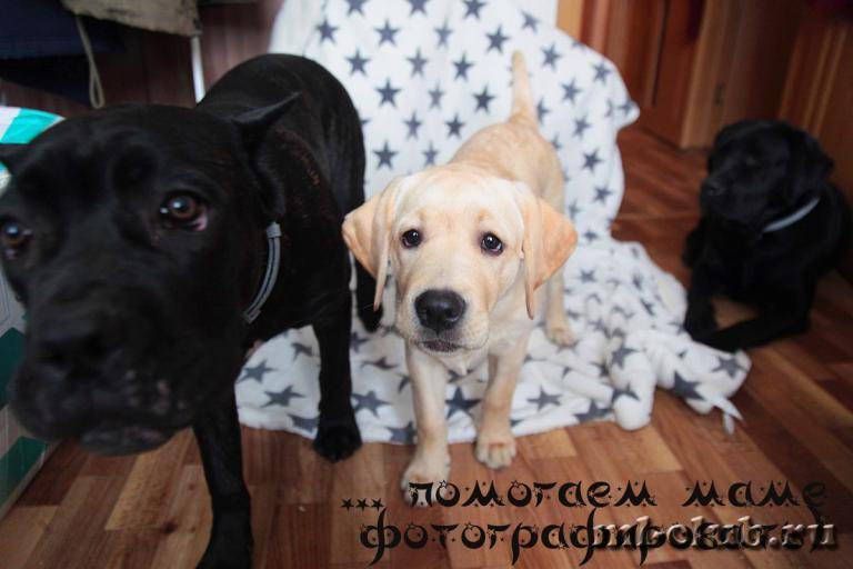 post-12493-0-88333100-1462558474_thumb.j