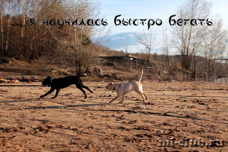 post-12493-0-97749700-1462558305_thumb.j