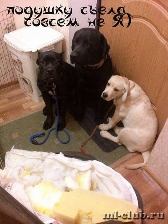 post-12493-0-98697900-1462558555_thumb.j