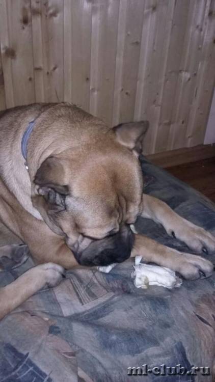 post-23512-0-13913200-1462569708_thumb.j