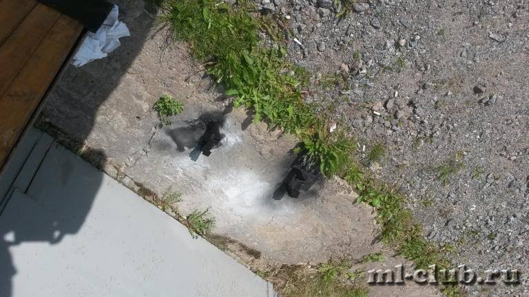 post-18322-0-11007700-1434225105_thumb.j