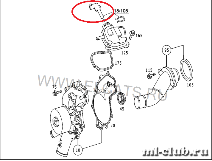 post-8980-0-19124200-1438369650_thumb.pn