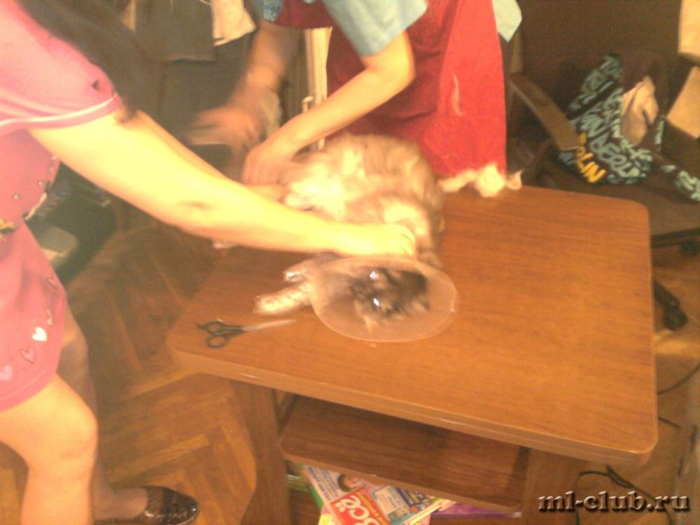 post-1909-0-31947500-1346064084_thumb.jp