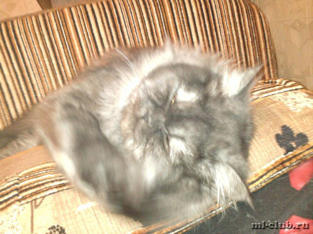 post-1909-0-82001900-1346063550_thumb.jp