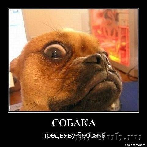 post-15082-0-18919900-1409161625_thumb.j