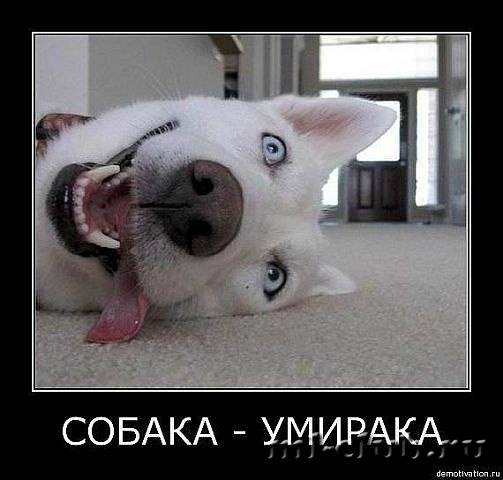 post-15082-0-30176700-1409161623_thumb.j