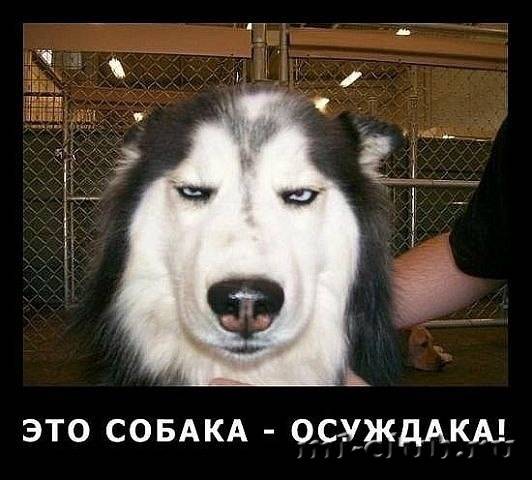 post-15082-0-59434500-1409161627_thumb.j