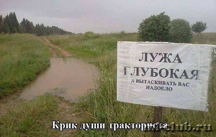 post-12751-0-36376500-1441044993_thumb.j