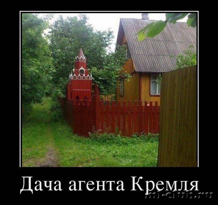post-12751-0-66483300-1441044996_thumb.j