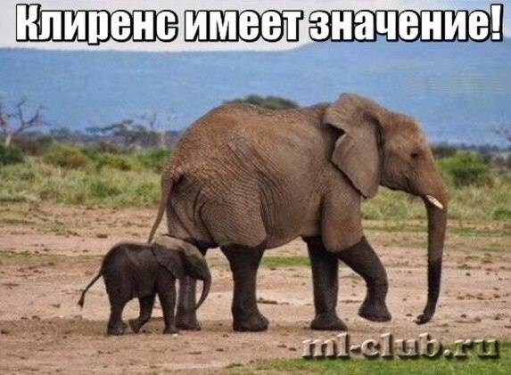 post-12751-0-81115200-1441044991_thumb.j