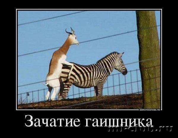 post-17031-0-02646600-1409994321_thumb.j