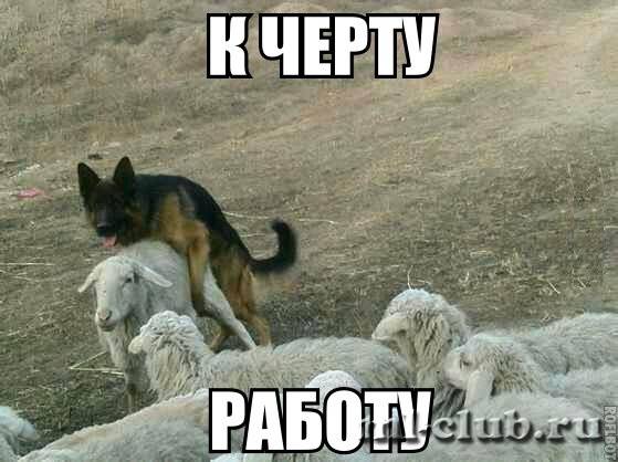 post-17031-0-32457300-1409996737_thumb.j