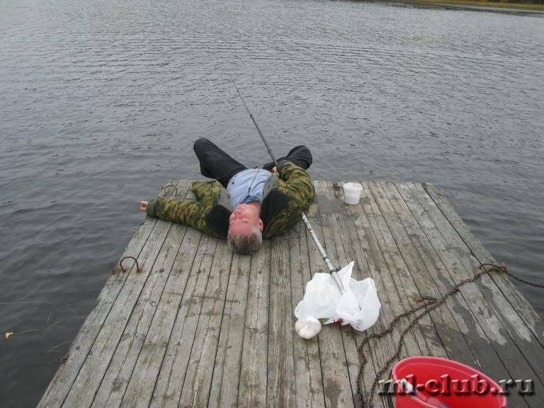 post-16031-0-19316900-1443468034_thumb.j