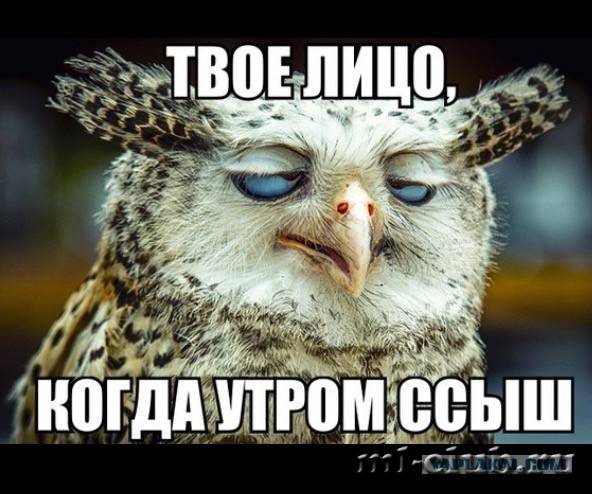 post-17031-0-47552800-1446755411_thumb.j