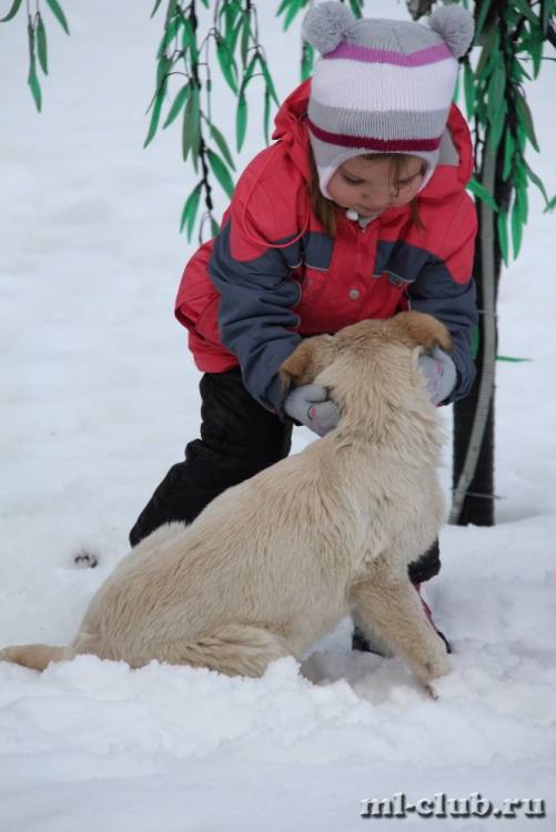 post-11298-0-23611000-1419276841_thumb.j