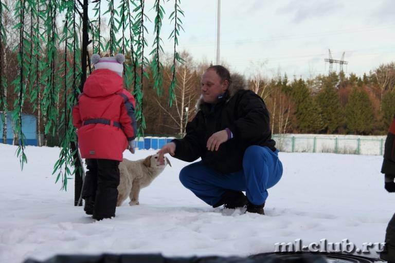 post-11298-0-90941900-1419276810_thumb.j