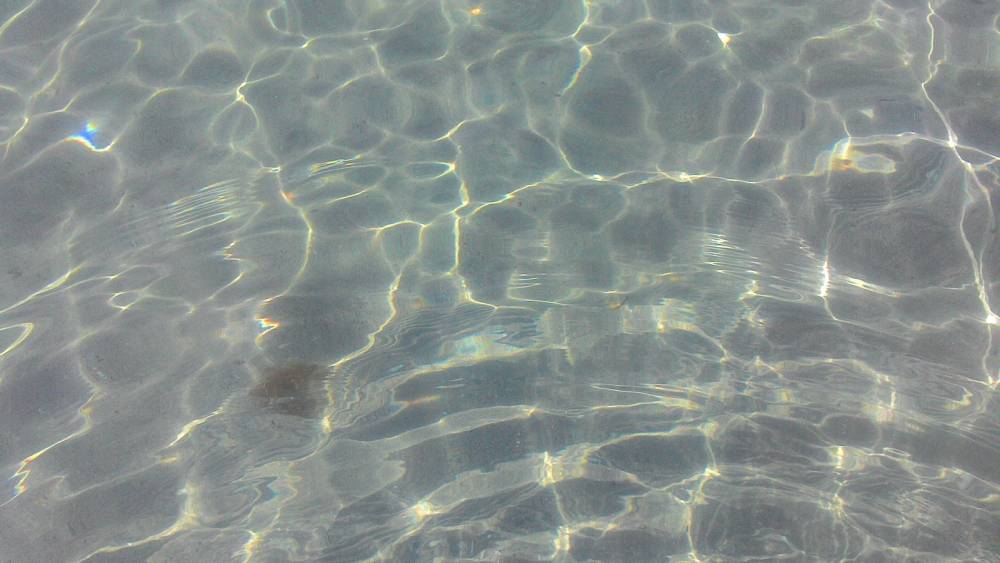 P_20160817_105415.jpg