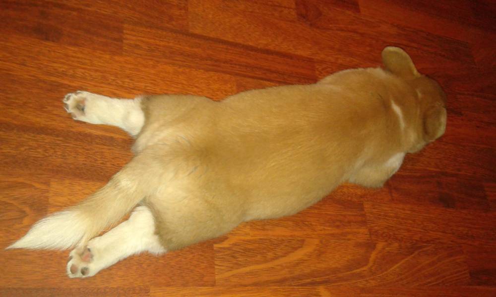 20140321_232156.jpg