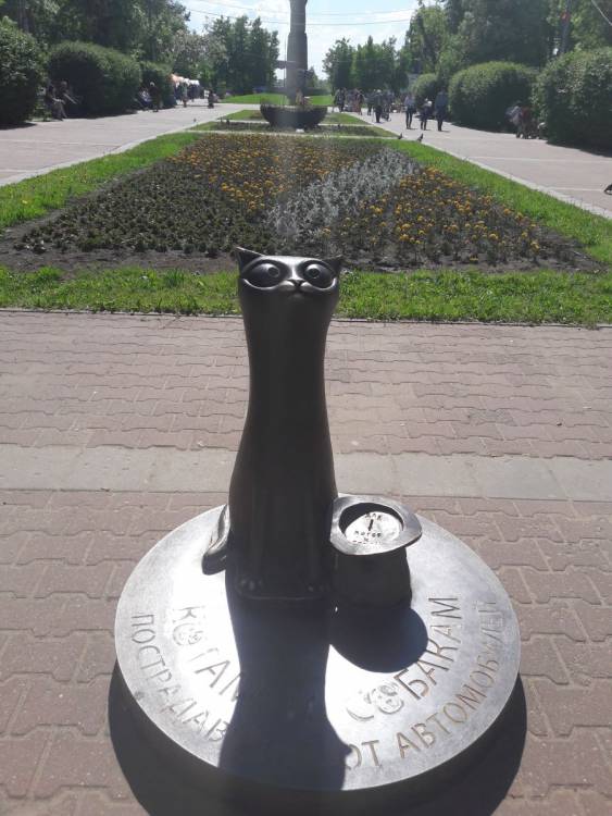 20170611_142701.jpg