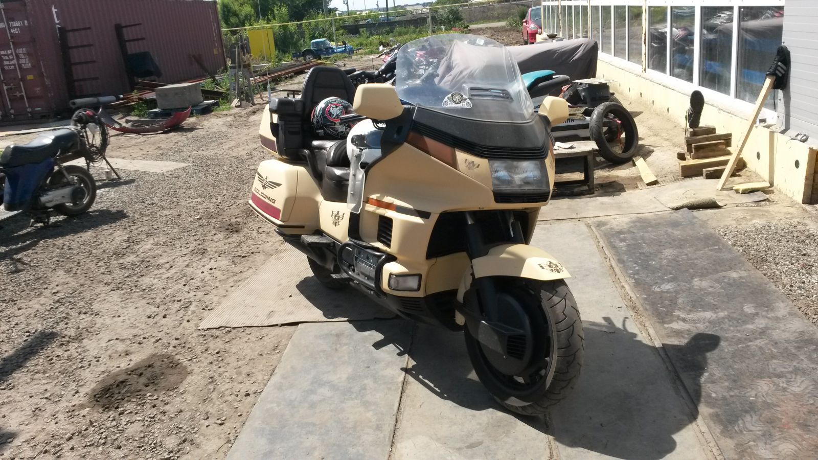 GolD WinG