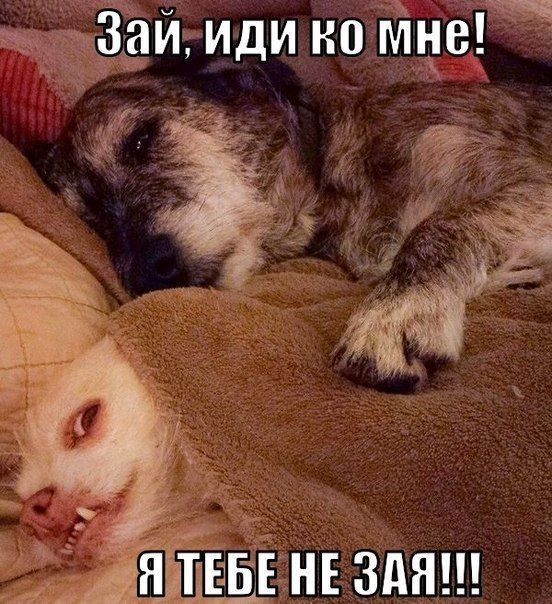 C__Data_Users_DefApps_AppData_INTERNETEXPLORER_Temp_Saved Images_1508239466_1508177126_093.jpg