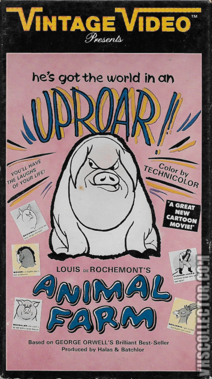 untitled7(1).png