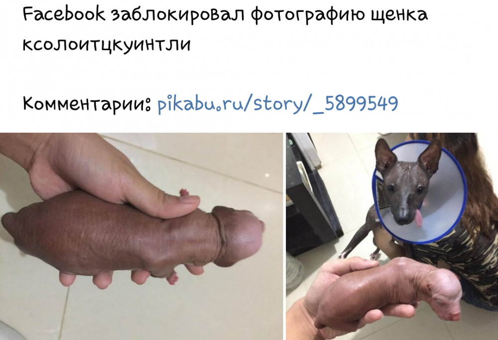 20180512_142608.png
