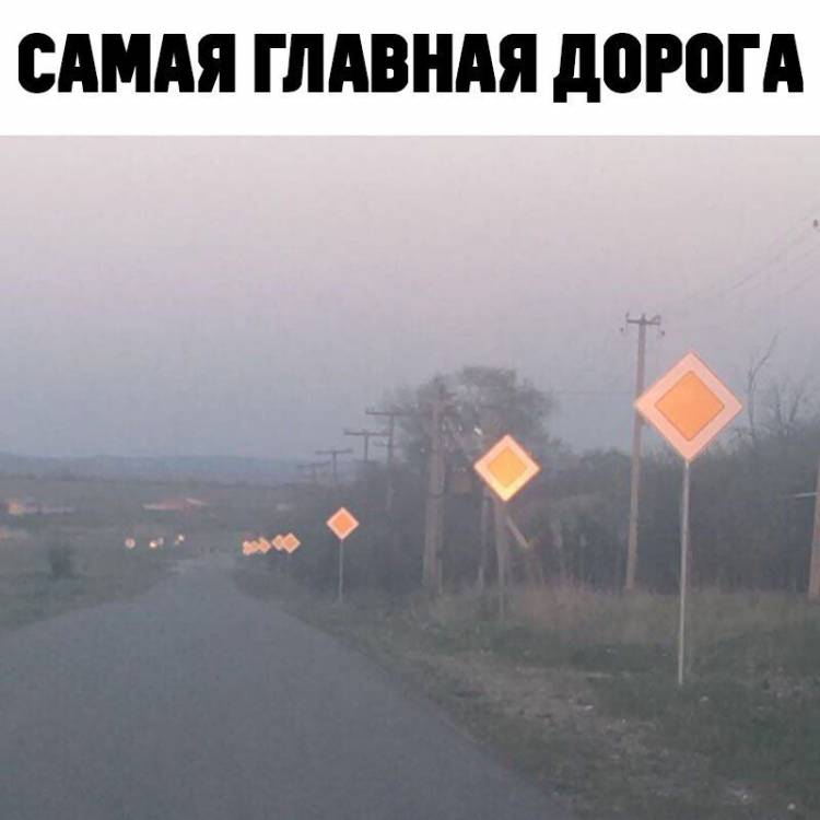 media-share-0-02-04-e1f93f0c666c7be410a1a07f94fc5bc9dc61df91eb05c9acc558e48448f9c648-3c90d8d0-c295-48df-9c3b-853fa352e839.jpg