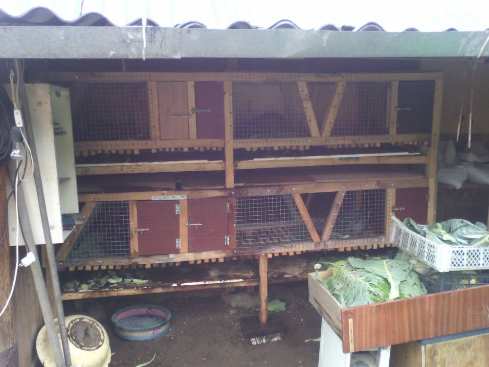 Общий вид.jpg