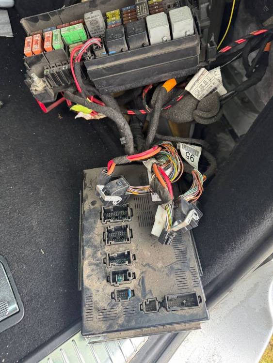 Изображение WhatsApp 2025-11-26 в 14.54.42_cd99f6b3.jpg