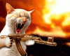 battlegroove